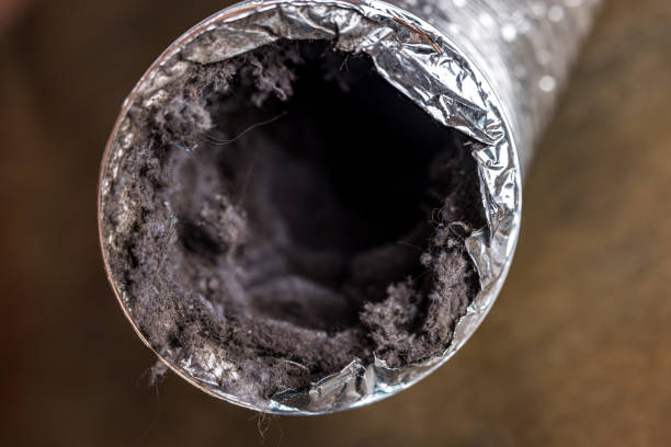 Best Air Vent Cleaning Services  in Milpitas, CA